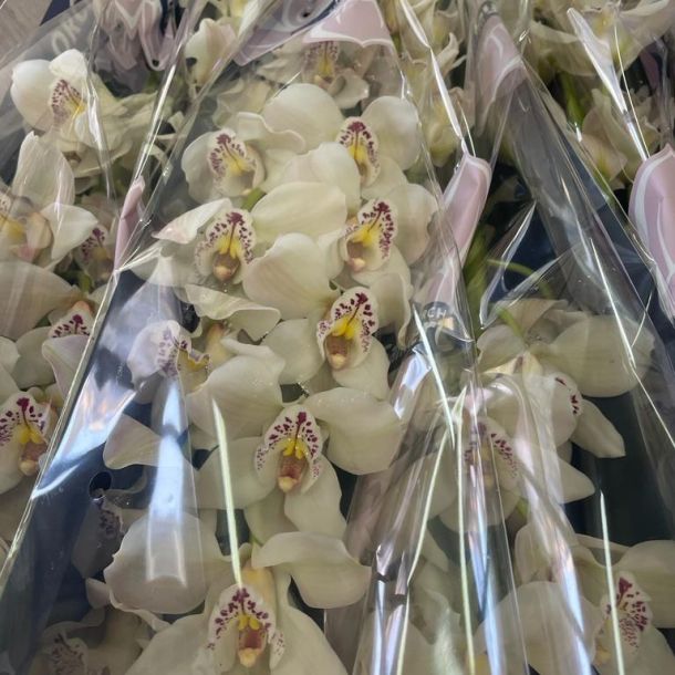 Esempio dalla galleria fotografica di Impresa Funebre San Luca