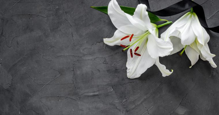 Fiore funebre di giglio su pietra scura. Biglietto di condoglianze con spazio per le copie